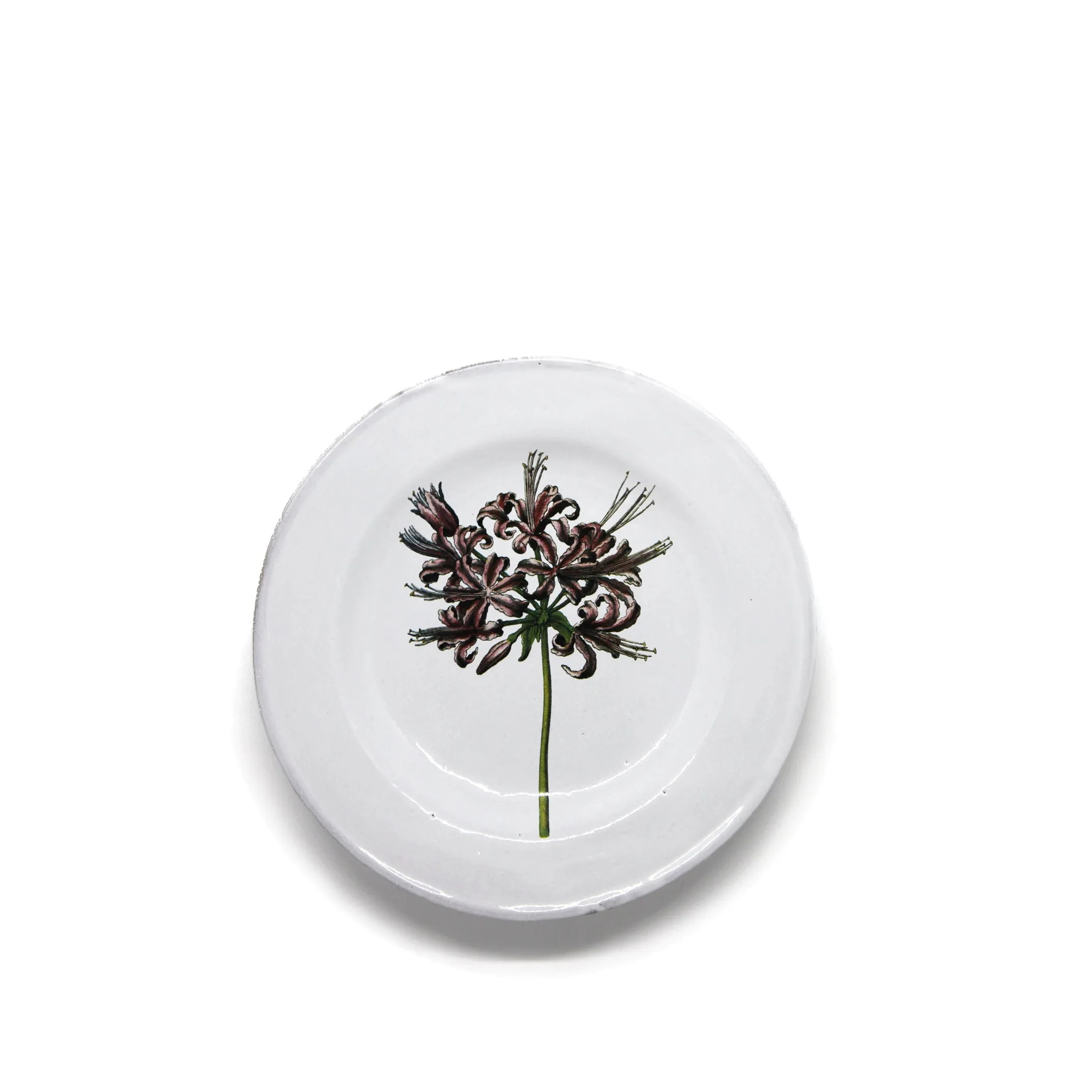 Guernfey Lilly Plate by Astier de Villatte, 22cm