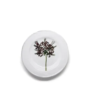 Guernfey Lilly Plate by Astier de Villatte, 22cm