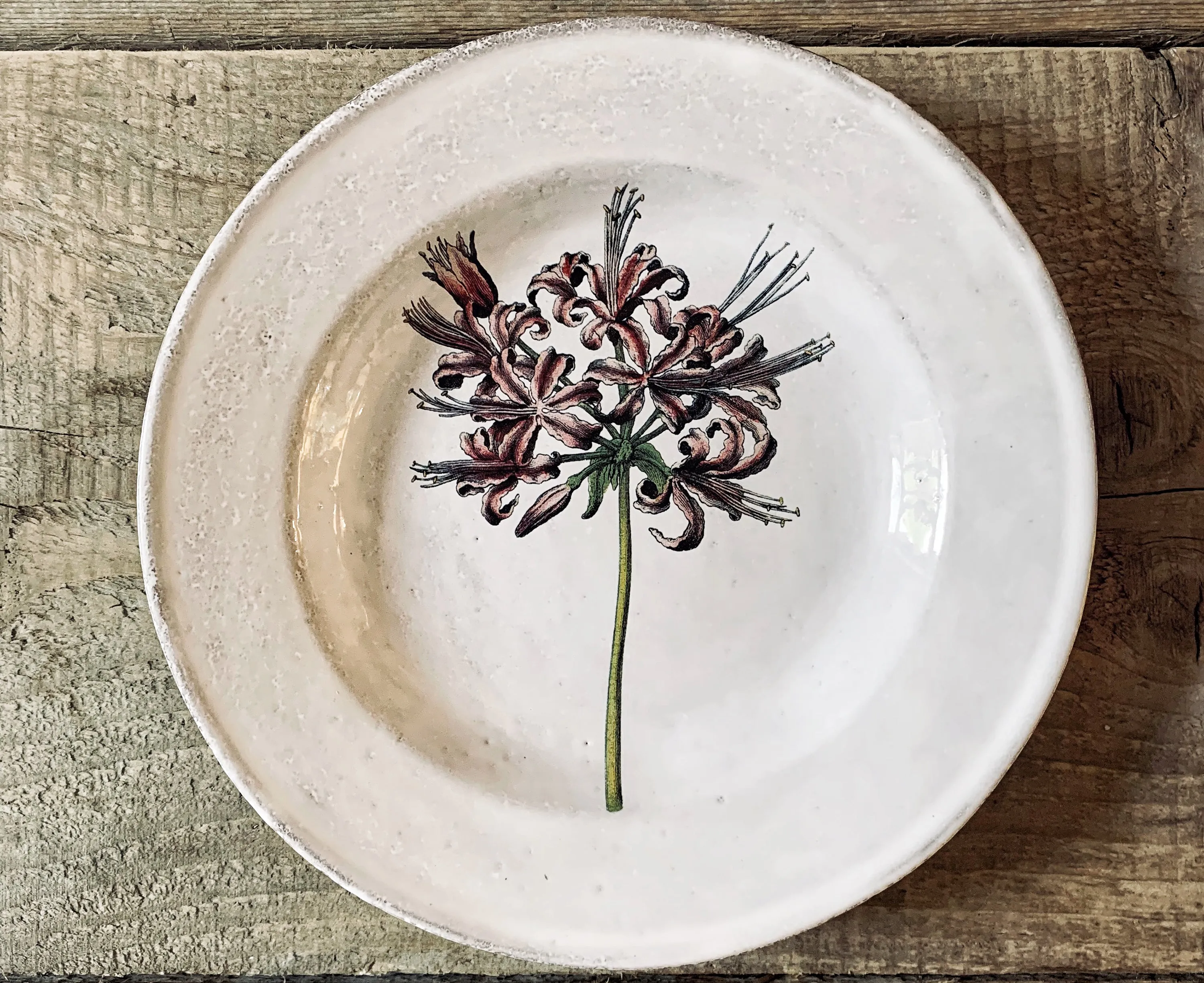 Guernfey Lilly Plate by Astier de Villatte, 22cm