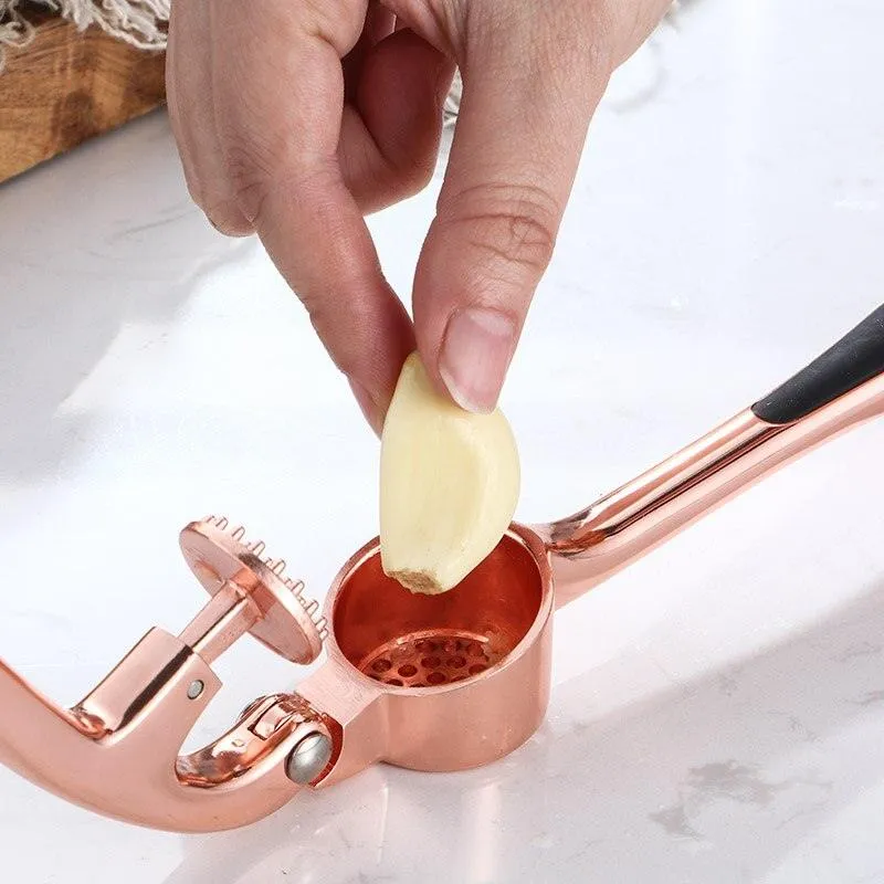 Handheld Garlic Squeezer Presser Tool A10-DGP702S