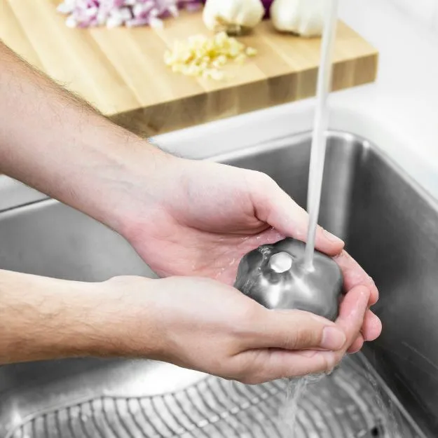 Stainless Steel Garlic Deodorizer