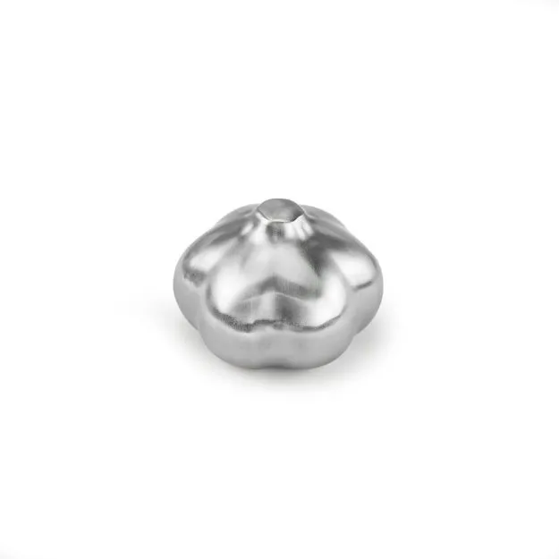 Stainless Steel Garlic Deodorizer
