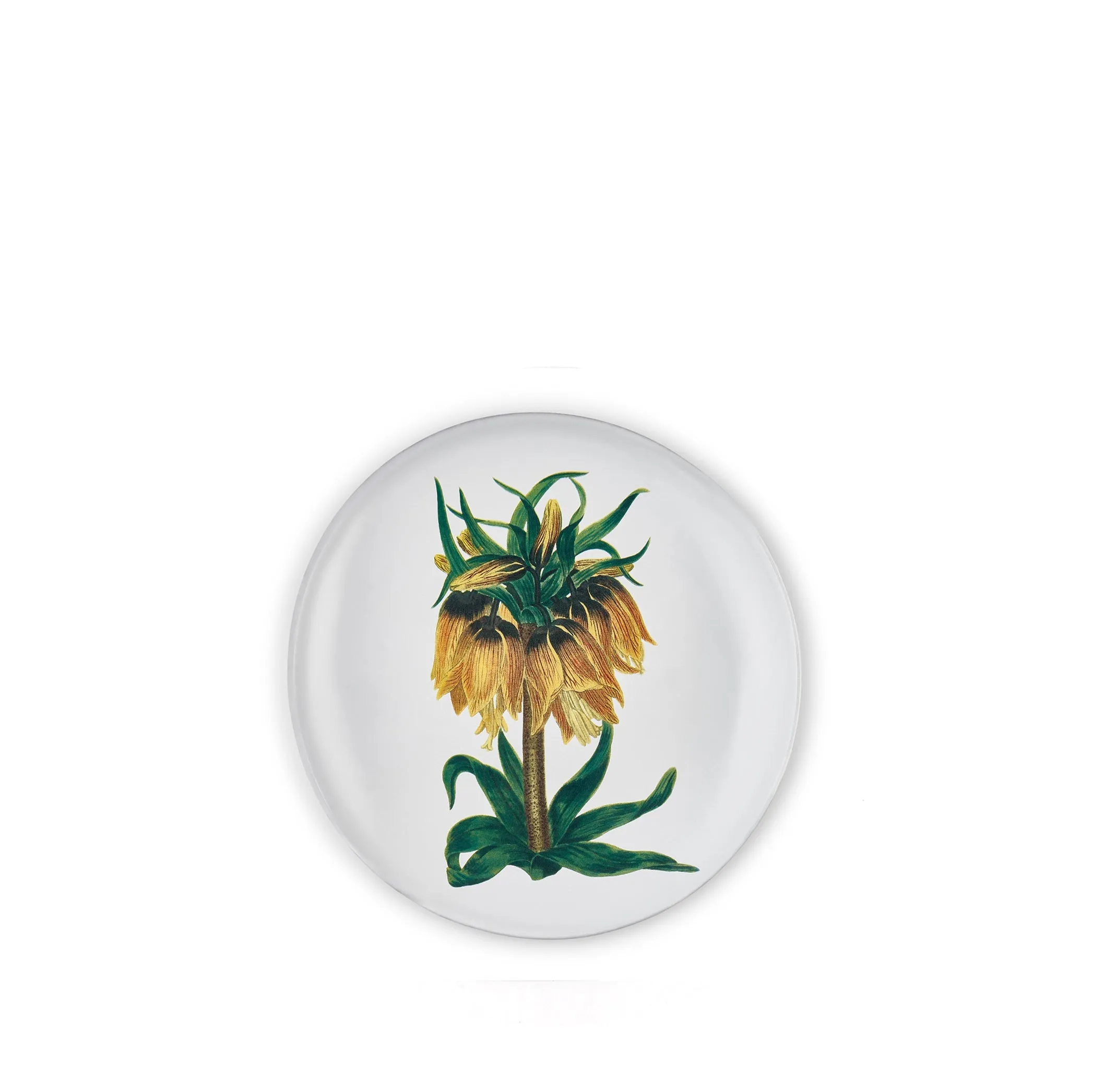 Yellow Flower Plate by Astier de Villatte, 26cm