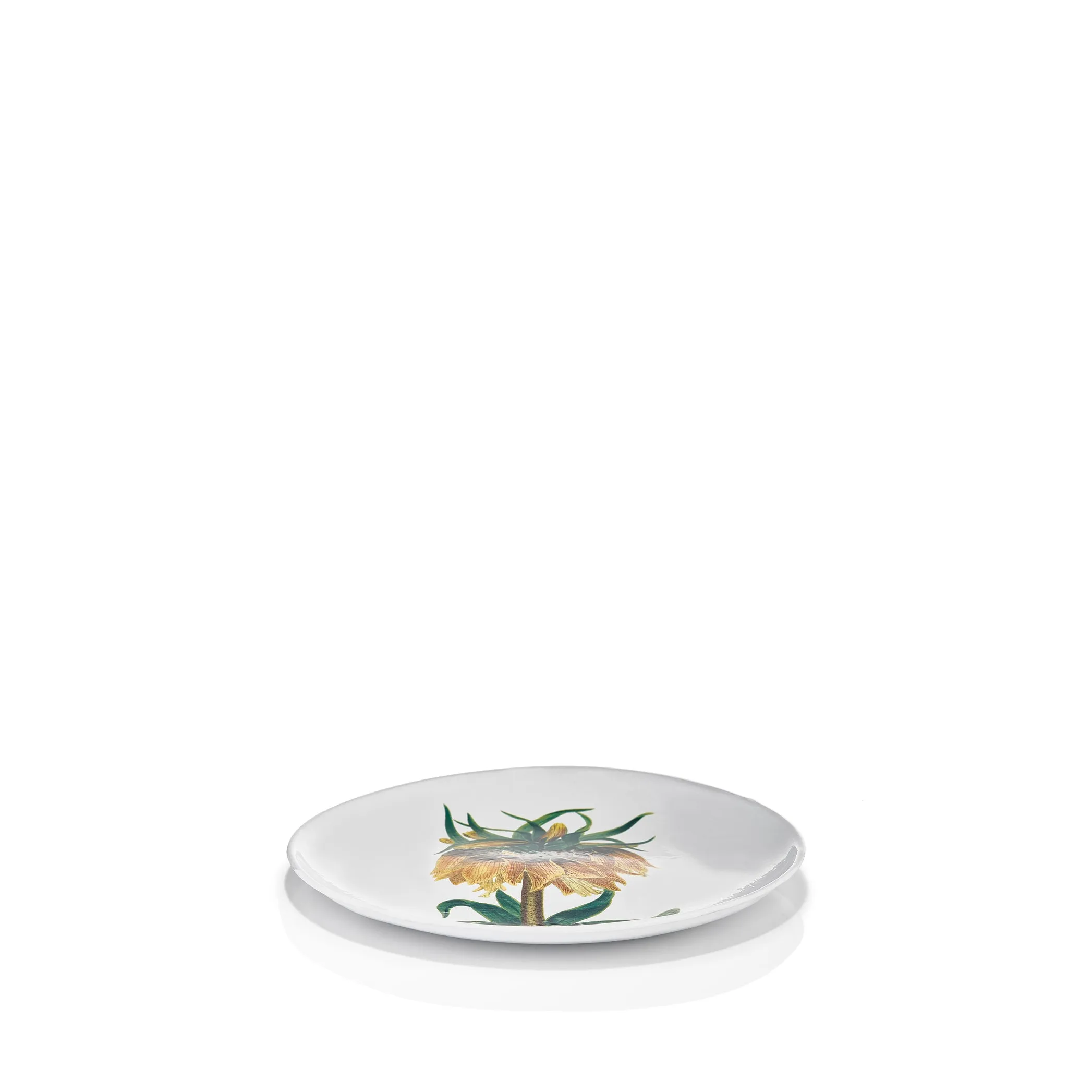 Yellow Flower Plate by Astier de Villatte, 26cm